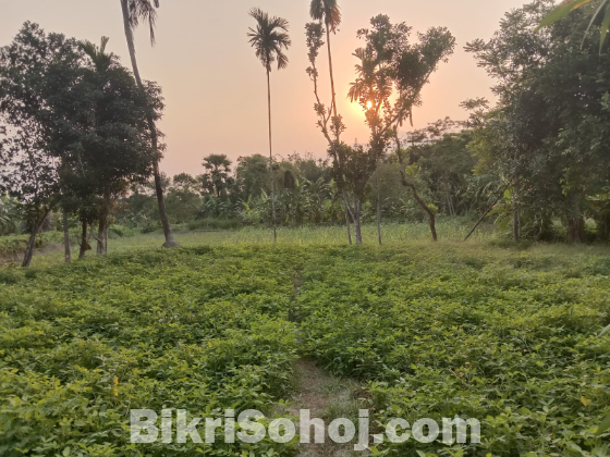 জমি বিক্রি করা হবে ১ একর ৪২ শতাংশ